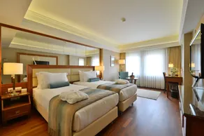 Marigold Thermal & Spa Hotel Bursa - Room