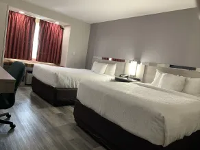 Microtel Inn and Suites Clarksville - Chambre