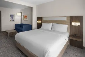Holiday Inn Express Syracuse-Fairgrounds by IHG - Chambre