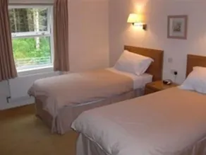Llwyn Onn Guest House - Værelse