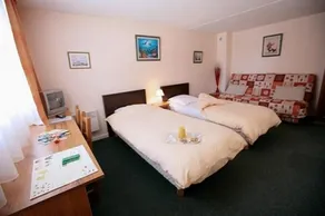 Hôtel Au Relais D'alsace Rouffach - Chambre