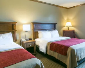 Comfort Inn Marshall Station - Habitación