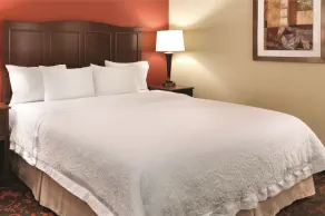 Hampton Inn Houston-Willowbrook Mall - Chambre