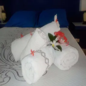House Jardin Del Caribe - Room