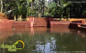 Nature's Nest Goa - Piscina natural