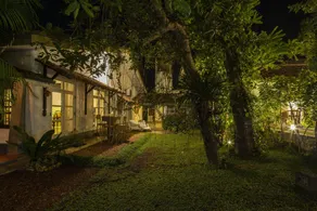 Bilin Tree House - Udsigt fra værelset