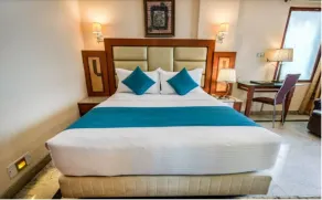 Golden Metro Hotel - Room