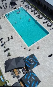 Black Sea Horses - Pool