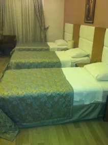 Ziyapasa Park Hotel - Room