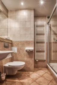 4 Pory Roku Resort Sauna & Spa - Bathroom