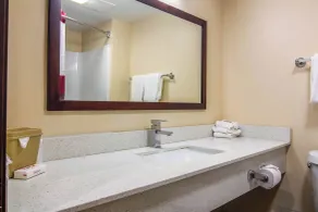 Red Roof Inn Perrysburg - Badezimmer