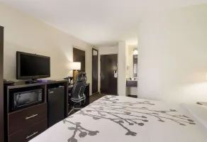 Sleep Inn Tanglewood - Chambre