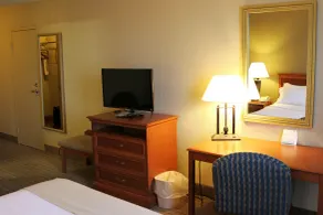 Holiday Inn Alexandria by IHG - Chambre