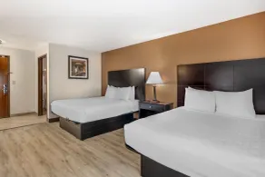 Best Western Des Plaines O'Hare - Habitación