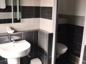 Hôtel Le Dauphin Bleu - Salle de bain