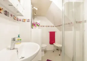 Emblematic House in Santa Cruz de La Pal - Baño