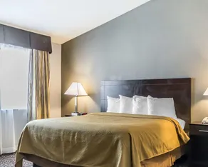 Quality Inn & Suites University-Airport - Chambre