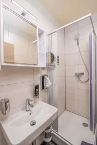 Charmante chambre privée conviviale et familiale avec jardin | Avec animaux autorisés - Salle de bain