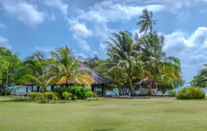 Trikora Beach Club and Resort - Restaurant