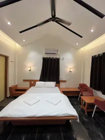 Amrapali Resort - Interior detail
