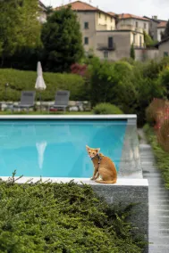 Villa ALMANA - Pool