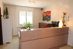 Hôtel Dau-Ly, Bron - Réception