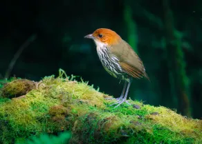 Refugio Paz de las Aves - Senderismo