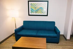 Holiday Inn Express Hotel & Suites Tampa-USF-Busch Gardens by IHG - Chambre