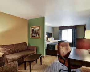 Comfort Suites near Hot Springs Park - Chambre