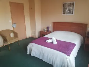 Logis Hôtel Restaurant SPA Le Tosny - Room
