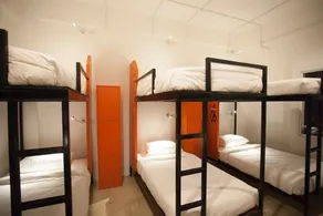 Mad Monkey Chiang Mai - Room