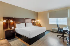 City Express by Marriott King of Prussia - Chambre