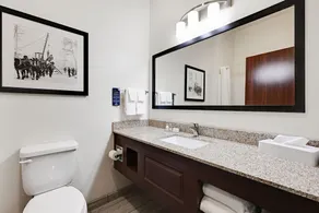 Cobblestone Hotel & Suites - Mosinee - Baño