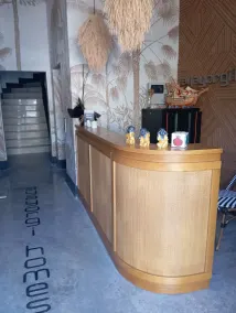 Ayayorgi Homes - Reception