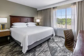 Sheraton by Marriott Atlanta Perimeter Dunwoody - Chambre