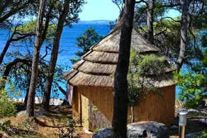 Pine Beach Bungalows all inclusive - Room