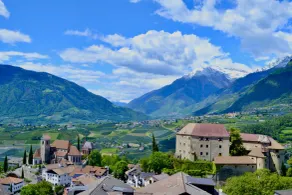 Hotel Finkenhof - Feel at home - Vue de la chambre