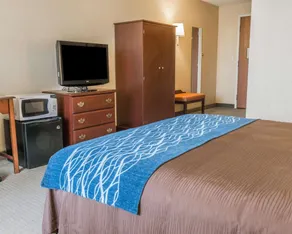 Rodeway Inn Mercer I-80 - Room