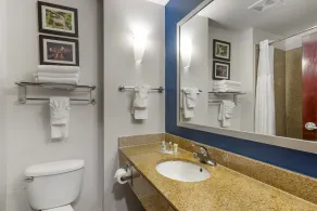 Comfort Suites Atlanta Airport - Salle de bain