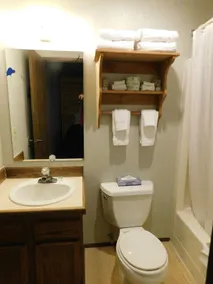 Packwood Inn - Bagno