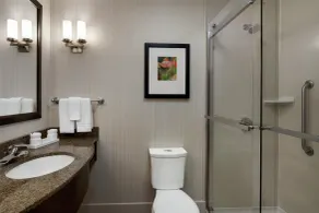 Hilton Garden Inn Stony Brook - Bathroom