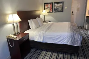 AmericInn by Wyndham Mosinee Central Wisconsin Airport - Habitación