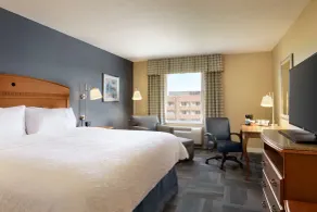 Hampton Inn New York - LaGuardia Airport - Chambre