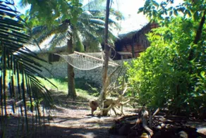 Tranquility Island Eco Dive Resort - View from room