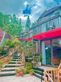 Plum Hillside lodge by sơn tinh - View from room