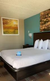 Days Inn & Suites by Wyndham Springfield on I-44 - Chambre