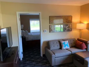 TownePlace Suites by Marriott Detroit Belleville - Chambre