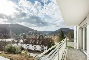 Schwarzwald Panorama - View from room