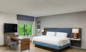 Hampton Inn Blue Ridge - Vue de la chambre