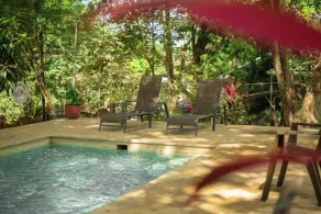 Casa Pura Vida Surf Hostel - Tamarindo Costa Rica - Pool